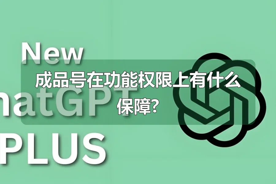 成品号在功能权限上有什么保障?